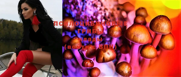 соль курить ск Алексеевка