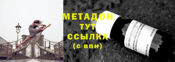 стаф Алзамай