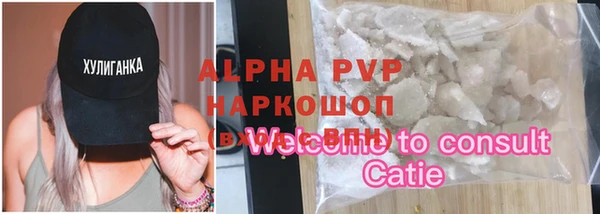 стаф Алзамай