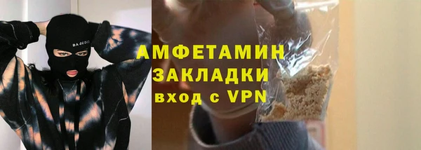 стаф Алзамай
