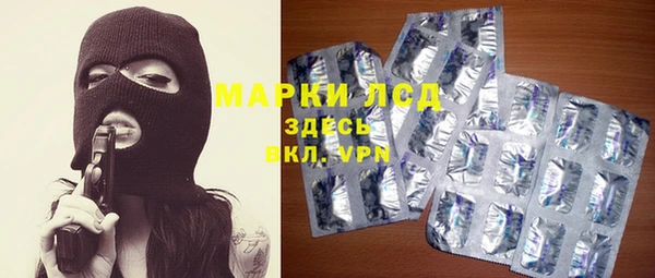 стаф Алзамай