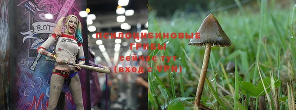 винт Алексин